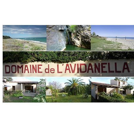 Domaine De L'Avidanella Lägenhet Santa-Lucia-di-Moriani Exteriör bild