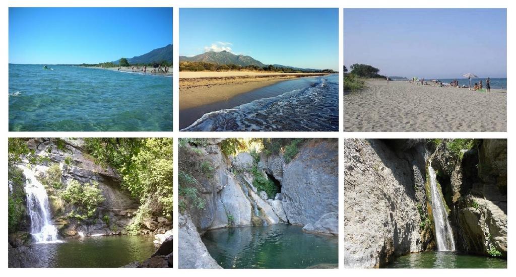 Domaine De L'Avidanella Lägenhet Santa-Lucia-di-Moriani Exteriör bild