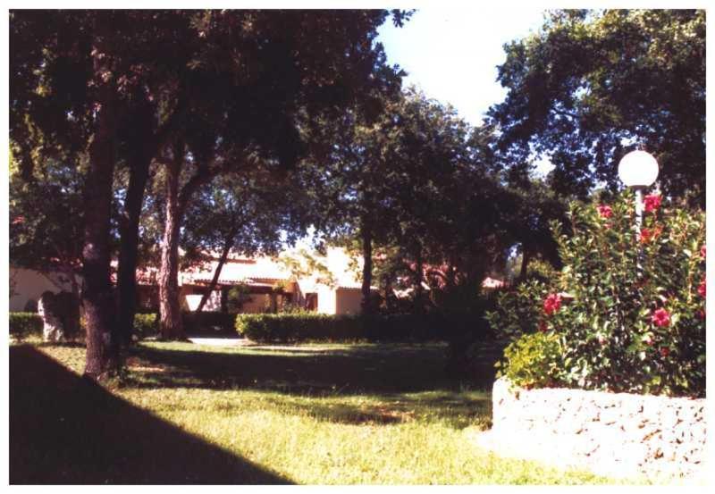 Domaine De L'Avidanella Lägenhet Santa-Lucia-di-Moriani Exteriör bild