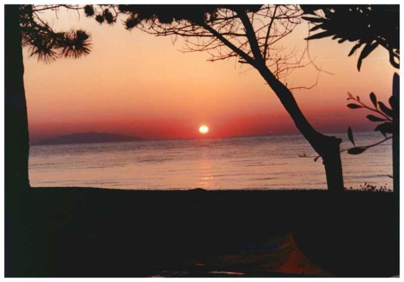 Domaine De L'Avidanella Lägenhet Santa-Lucia-di-Moriani Exteriör bild