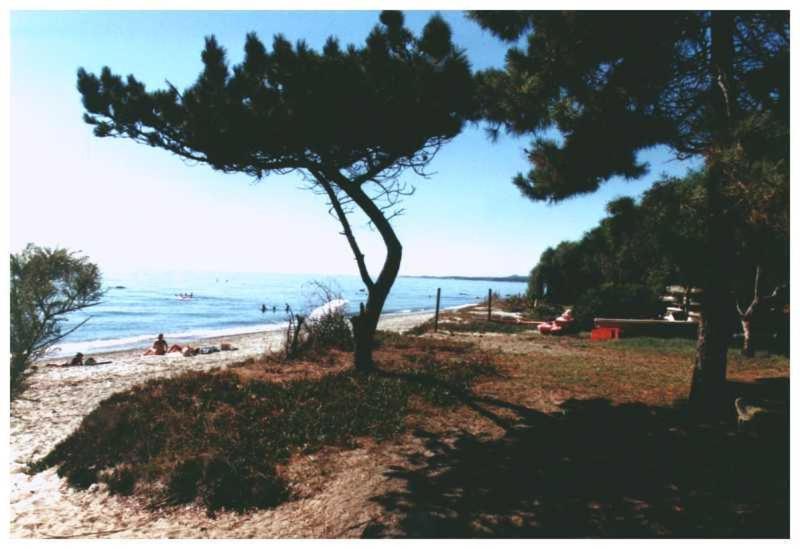 Domaine De L'Avidanella Lägenhet Santa-Lucia-di-Moriani Exteriör bild