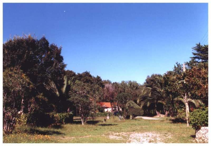 Domaine De L'Avidanella Lägenhet Santa-Lucia-di-Moriani Exteriör bild