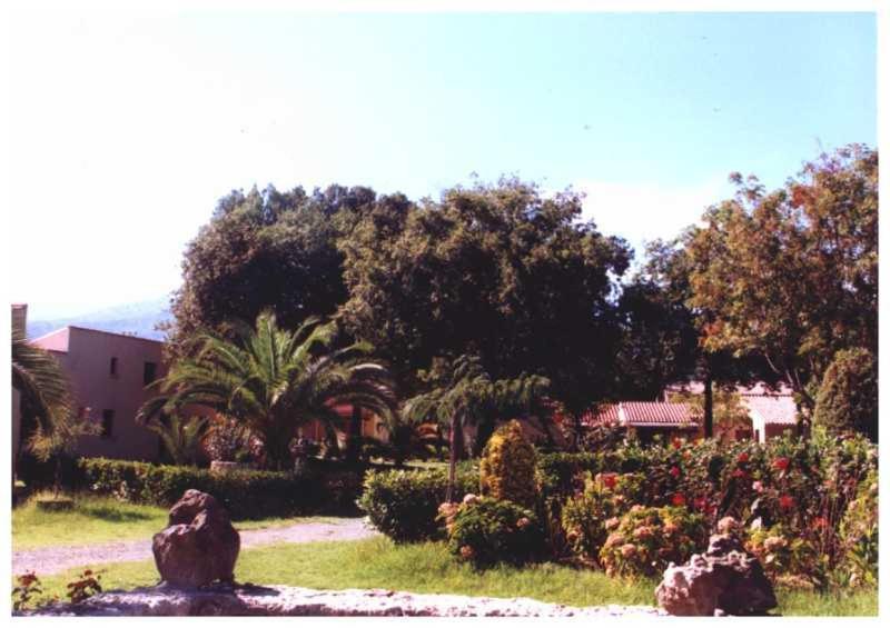 Domaine De L'Avidanella Lägenhet Santa-Lucia-di-Moriani Exteriör bild