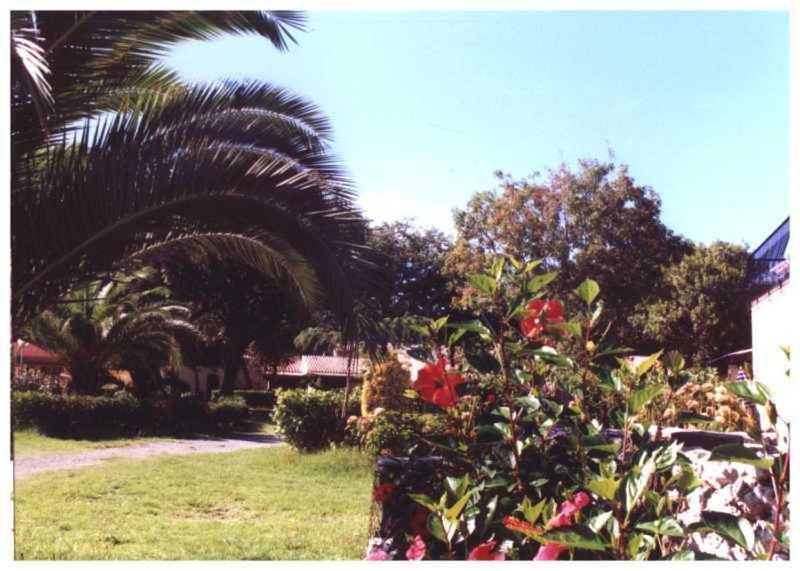 Domaine De L'Avidanella Lägenhet Santa-Lucia-di-Moriani Exteriör bild