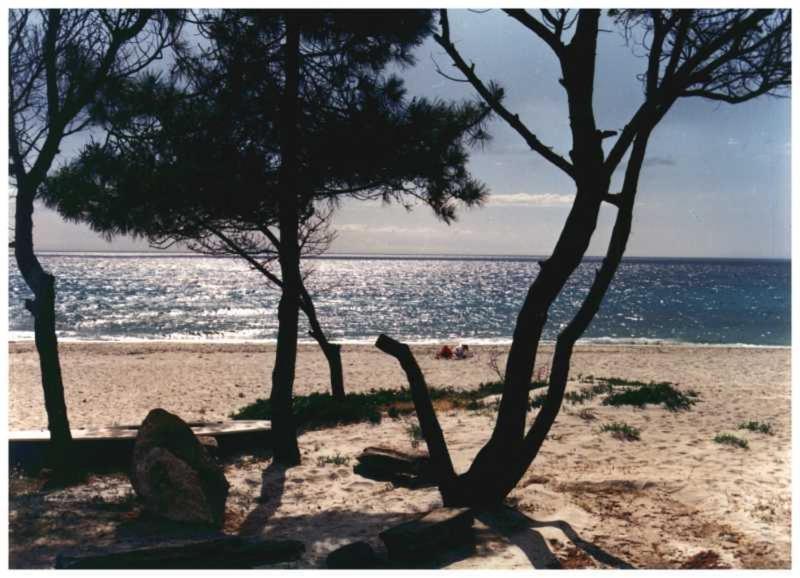 Domaine De L'Avidanella Lägenhet Santa-Lucia-di-Moriani Exteriör bild