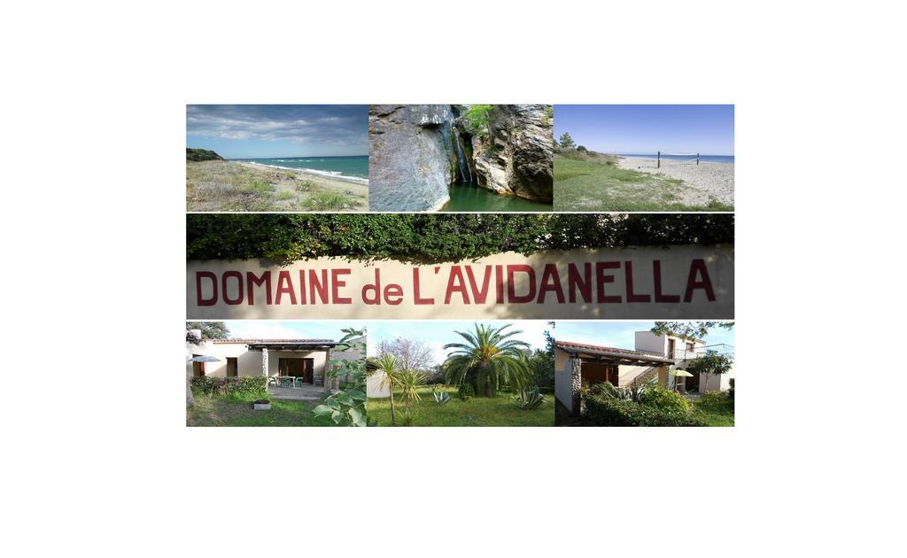 Domaine De L'Avidanella Lägenhet Santa-Lucia-di-Moriani Exteriör bild