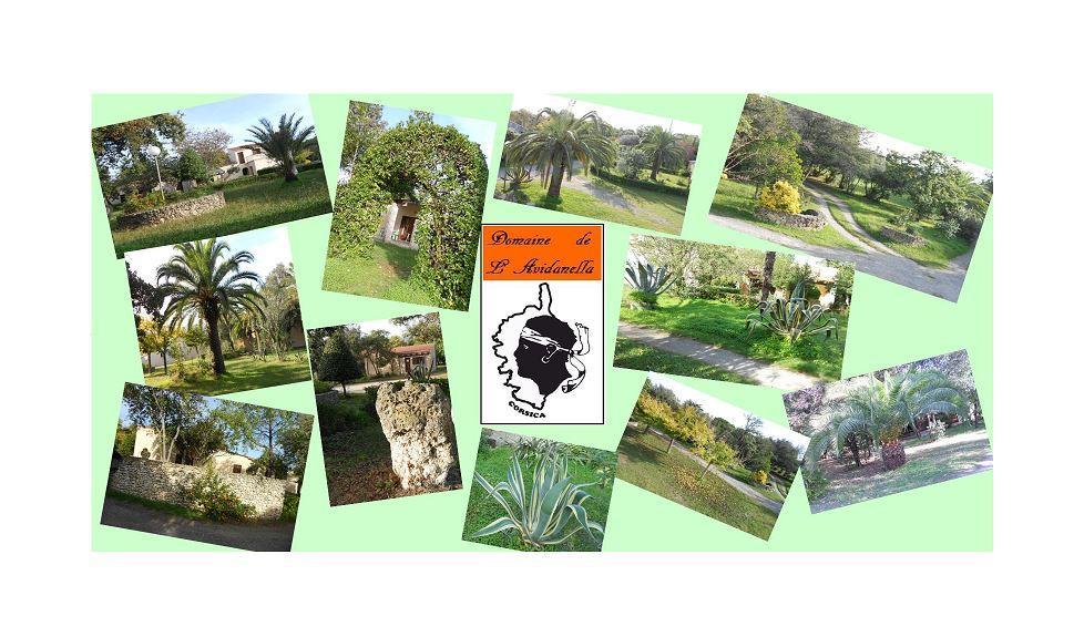 Domaine De L'Avidanella Lägenhet Santa-Lucia-di-Moriani Exteriör bild